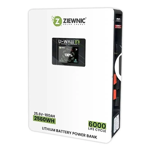 Ziewnic Li-Wall 2.56kWh Lithium Ion Battery Power Bank 25.6V 100AH